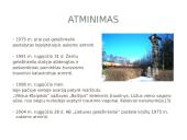 Avarijos geležinkeliuose 6 puslapis