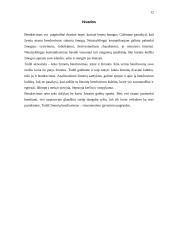 Netaisyklingo komunikavimo pasėkmės 12 puslapis