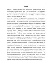 Netaisyklingo komunikavimo pasėkmės 3 puslapis