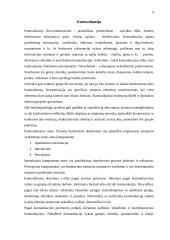 Netaisyklingo komunikavimo pasėkmės 4 puslapis