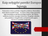 Nelygybė tarp šalių ir jose 4 puslapis