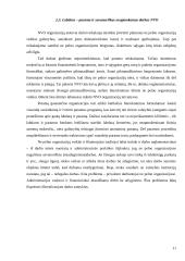 Nevyriausybinės organizacijos ir jų veikla 11 puslapis