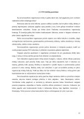 Nevyriausybinės organizacijos ir jų veikla 13 puslapis