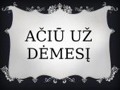 Vincentas van Gogas ir jo kūrybos bruožai 20 puslapis