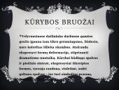 Vincentas van Gogas ir jo kūrybos bruožai 9 puslapis