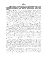 Paklausa rinkoje 12 puslapis