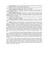 Paklausa rinkoje 8 puslapis