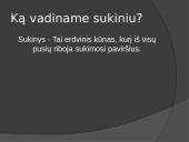 Sukinys - tai erdvinis kūnas 2 puslapis