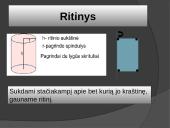 Sukinys - tai erdvinis kūnas 9 puslapis