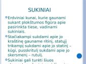 Sukiniai matematikoje 2 puslapis