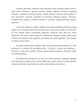 Produkcijos pardavimas ir gamyba 11 puslapis