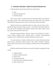 Produkcijos pardavimas ir gamyba 12 puslapis