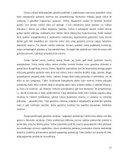 Produkcijos pardavimas ir gamyba 13 puslapis