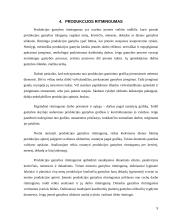 Produkcijos pardavimas ir gamyba 9 puslapis