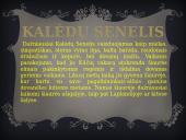 Kalėdos arba šventos Kalėdos 8 puslapis