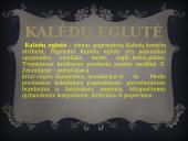 Kalėdos arba šventos Kalėdos 9 puslapis