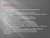 Icchokas Meras - "Lygiosios trunka akimirką" 12 puslapis