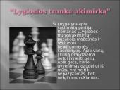 Icchokas Meras - "Lygiosios trunka akimirką" 3 puslapis