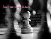 Icchokas Meras - "Lygiosios trunka akimirką" 6 puslapis