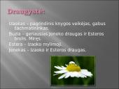 Icchokas Meras - "Lygiosios trunka akimirką" 9 puslapis