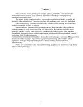 Rinkos struktūros ir trumpas jų apibūdinimas 2 puslapis