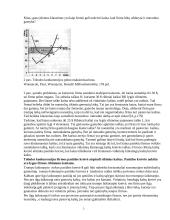 Rinkos struktūros ir trumpas jų apibūdinimas 5 puslapis