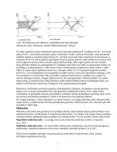 Rinkos struktūros ir trumpas jų apibūdinimas 7 puslapis