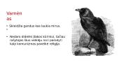 Gyvulių ūkis 12 puslapis