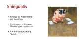 Gyvulių ūkis 7 puslapis
