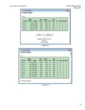 Simulation strategy 13 puslapis