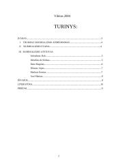 Siurrealizmo meno kryptis 2 puslapis