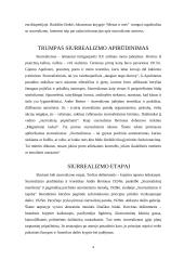 Siurrealizmo meno kryptis 4 puslapis