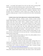 Socialinės paramos šeimai teisinis reglamentavimas 13 puslapis