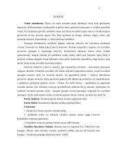 Socialinės paramos šeimai teisinis reglamentavimas 2 puslapis