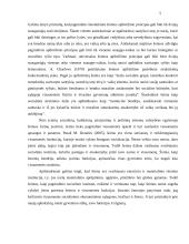 Socialinės paramos šeimai teisinis reglamentavimas 4 puslapis