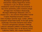 Tarpukario Kaunas (1919 – 1940) 12 puslapis