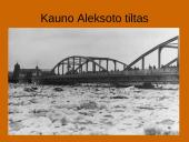 Tarpukario Kaunas (1919 – 1940) 14 puslapis