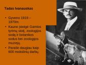 Tarpukario Kaunas (1919 – 1940) 20 puslapis