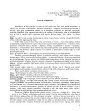 Socialinio darbuotojo vertybės dirbant su senais žmonėmis 4 puslapis