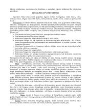 Socialinio darbuotojo vertybės dirbant su senais žmonėmis 5 puslapis