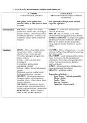 Muzikos terminai ir sąvokos 2 puslapis