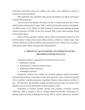 Socialinio draudimo samprata 15 puslapis