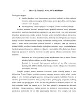 Socialinio draudimo samprata 10 puslapis