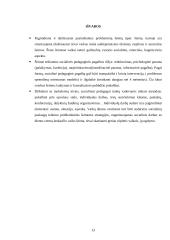 Socialinio pedagogo darbas su vaikų šeimomis, teikiant socialinę pedagoginę pagalbą 13 puslapis