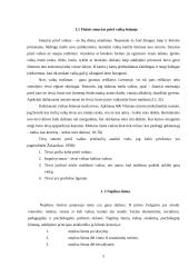 Socialinio pedagogo darbas su vaikų šeimomis, teikiant socialinę pedagoginę pagalbą 5 puslapis