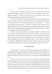 Socialinio pedagogo darbas su vaikų šeimomis, teikiant socialinę pedagoginę pagalbą 6 puslapis