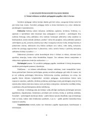 Socialinio pedagogo darbas su vaikų šeimomis, teikiant socialinę pedagoginę pagalbą 8 puslapis