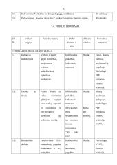 Socialinio pedagogo praktika: Ventos vidurinė mokykla 13 puslapis