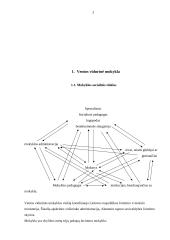 Socialinio pedagogo praktika: Ventos vidurinė mokykla 3 puslapis