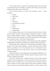 Socialinio pedagogo praktika: Ventos vidurinė mokykla 5 puslapis